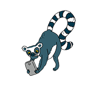 Lemur using a phone