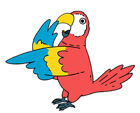 Parrot
