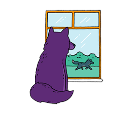 Wolf looking out of the window