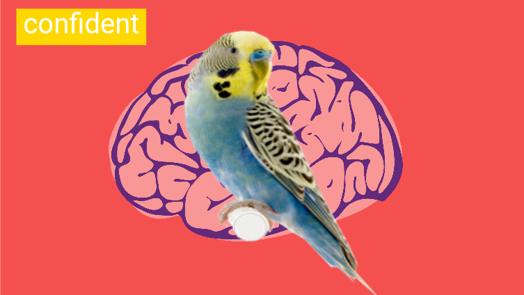 Who said parrots aren't smart?