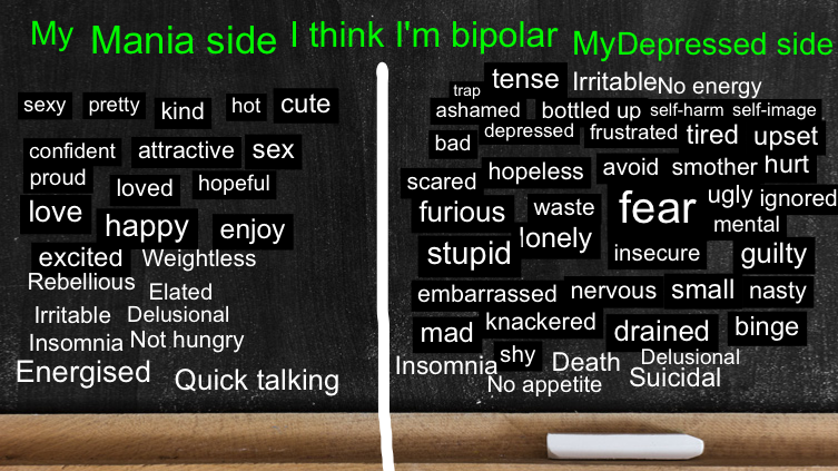 I think I'm bipolar 