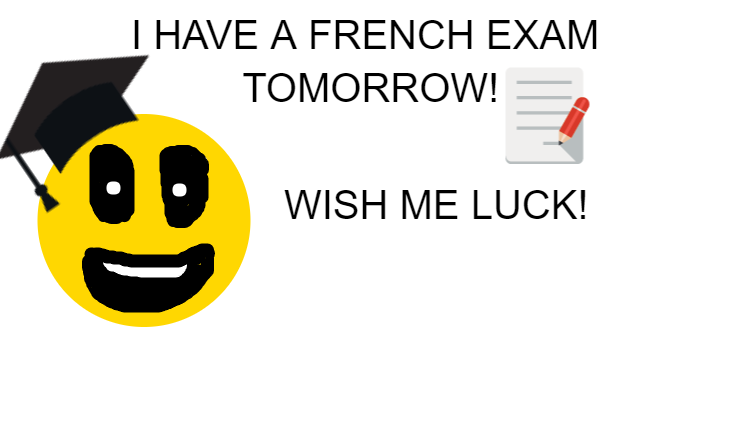 I HAVE A FRENCH EXAM- WISH ME LUCK