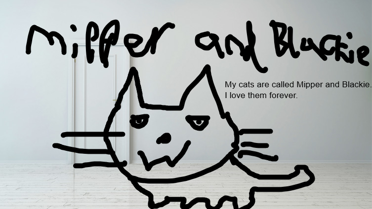 I love my cats, Mipper and Blackie forever.