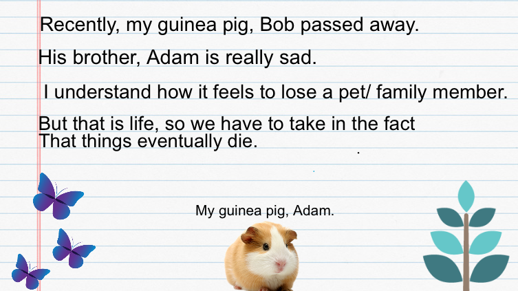 I lost my guinea pig, and that is the way of life.