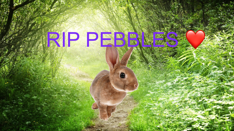 RIP Pebbles 🙏