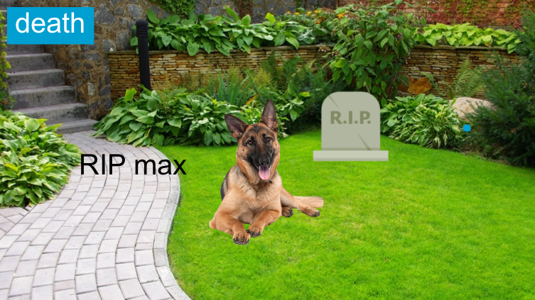 Dog, death, 
