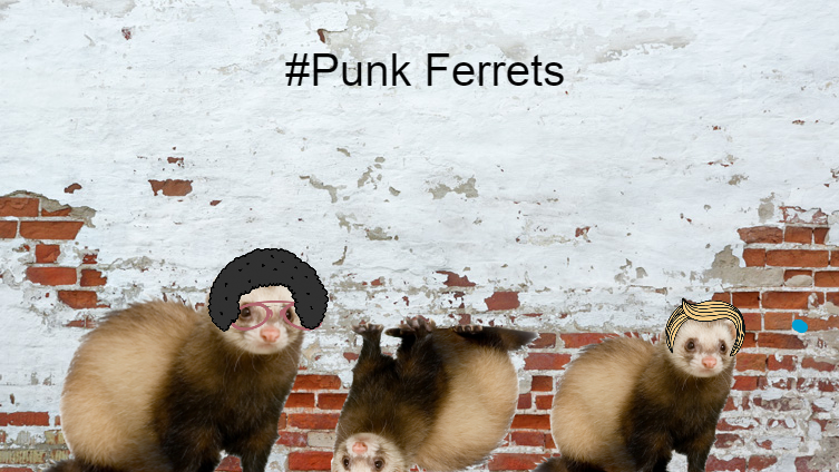 The Punk Ferret Sorority