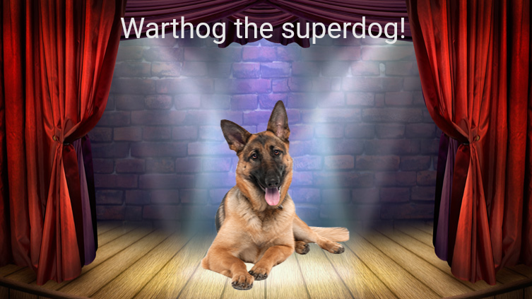 Warthog the Superdog!