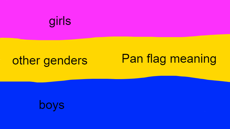 Pan flag meaning