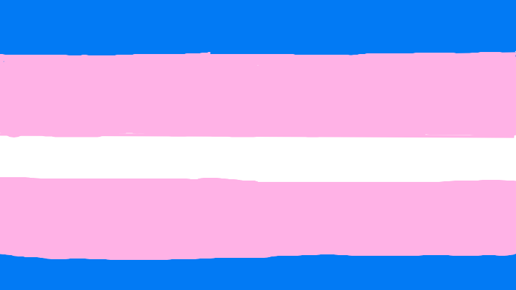 Trans rights r human right
