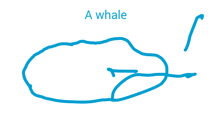 The angry whale