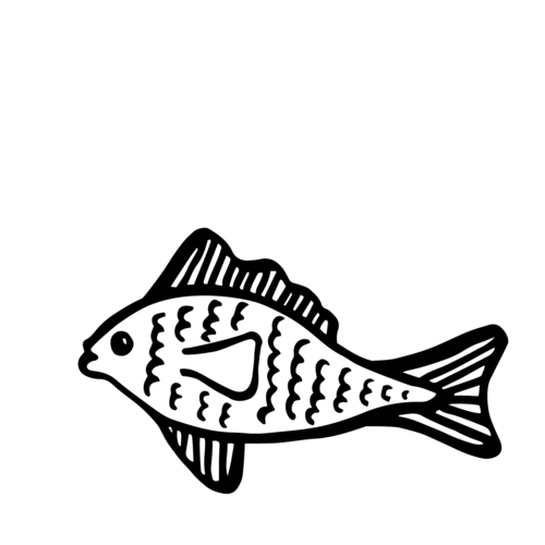 Illustration of a fish blowing bubbles