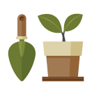 Plant pot