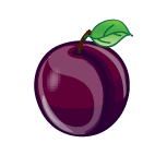 Plum