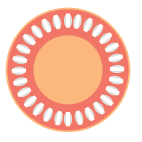 Contraceptive pill