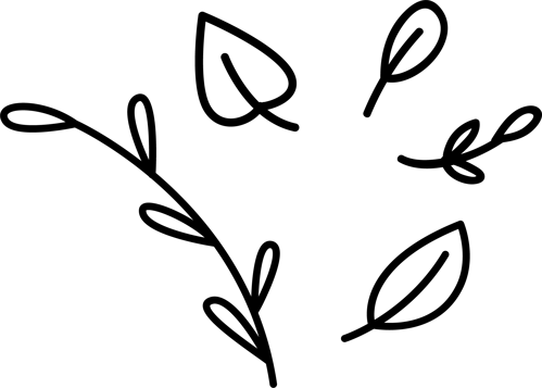 Illustration of a leaf