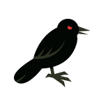 Raven