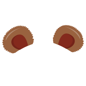 Bear ears