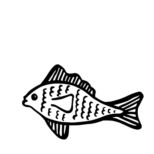 Illustration of a fish swimming Illustration of a fish blowing bubbles