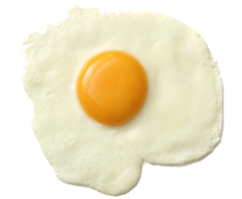 Egg
