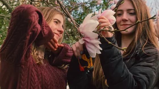 Photograph of two young people observing the flowers of a tree.