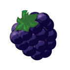 Blackberry