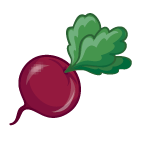 Beetroot