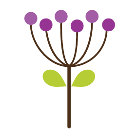 Purple flower